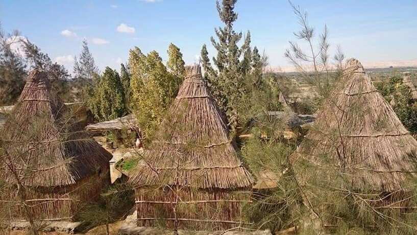 Imagen general del Hotel Badry Sahara Camp. Foto 19