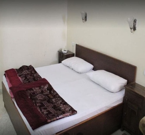 Imagen de la habitación del Hotel Bagga Vilas. Foto 2
