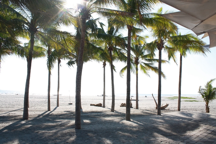 Imagen de los exteriores del Hotel Bahia Del Sol, La Herradura. Foto 12