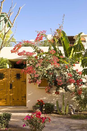 Imagen de la piscina del Hotel Bahia Villa Vacations. Foto 16