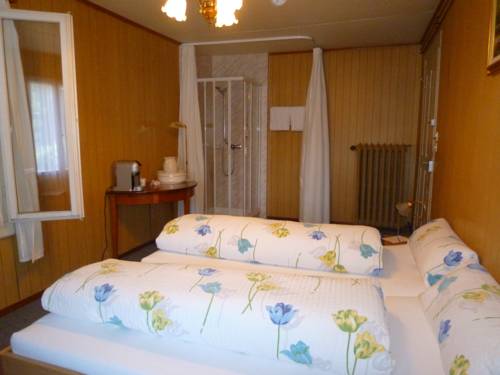 Imagen de la habitación del Hotel Bahnhof, Giswil. Foto 3