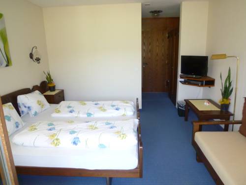 Imagen de la habitación del Hotel Bahnhof, Giswil. Foto 13