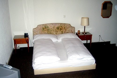 Imagen de la habitación del Hotel Bahnhof Glattbrugg. Foto 6