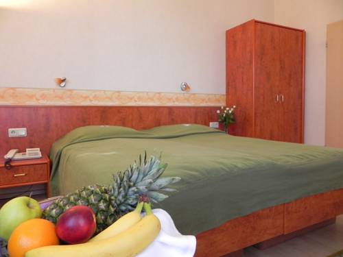 Imagen de la habitación del Hotel Bahnhof-hotel Saarlouis. Foto 13