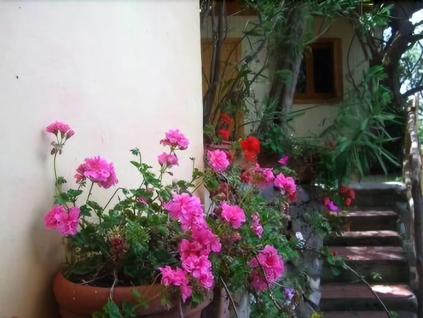Imagen de los interiores del Hotel Baia Serena. Foto 15