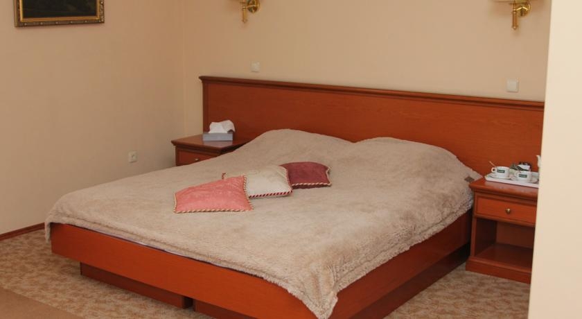 Imagen de la habitación del Hotel Baikal Forest. Foto 2