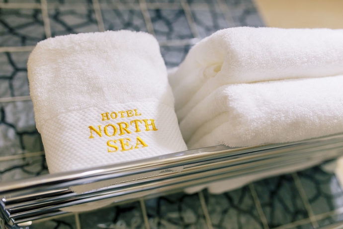 Imagen de la habitación del Hotel Baikal North Sea. Foto 6