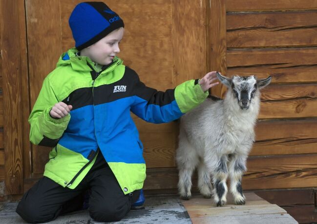 Imagen general del Hotel BaikalYeti. Foto 7