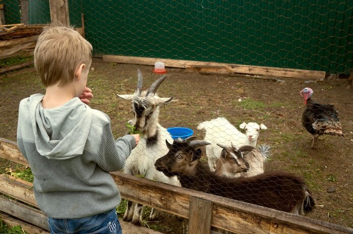 Imagen general del Hotel BaikalYeti. Foto 15