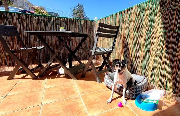 Imagen de la habitación del Hotel Baixamar. Foto 13