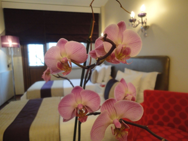 Imagen de la habitación del Hotel Bakirkoy Tashan Business and Airport. Foto 8