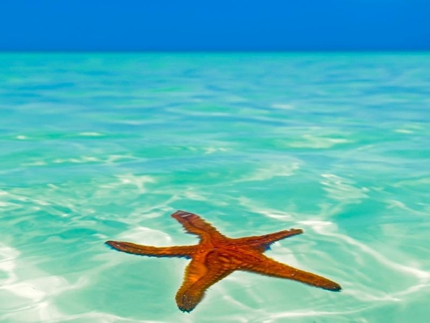 Imagen general del Hotel Baktun. Foto 2