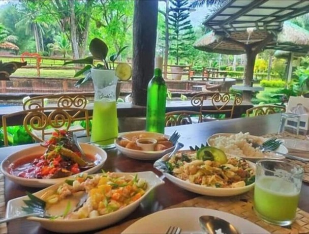 Imagen general del Hotel Balay Ni Tatay Farm Resort by Cocotel. Foto 11