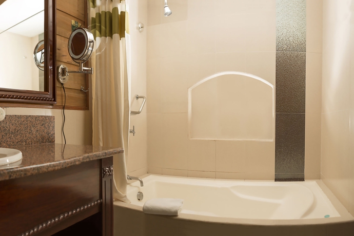 Imagen de la habitación del Hotel Baldi Hot Springs and Spa. Foto 7