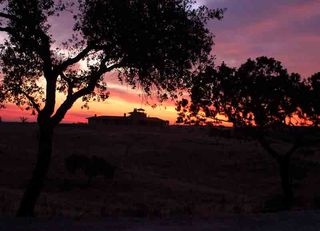 Imagen general del Hotel Bald&iacute;o Grande. Foto 5