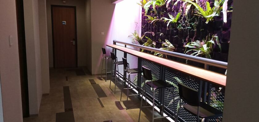 Imagen general del Hotel Bale Resident. Foto 10