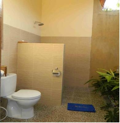 Imagen de la habitación del Hotel Bali Bhuana Beach Cottage. Foto 2