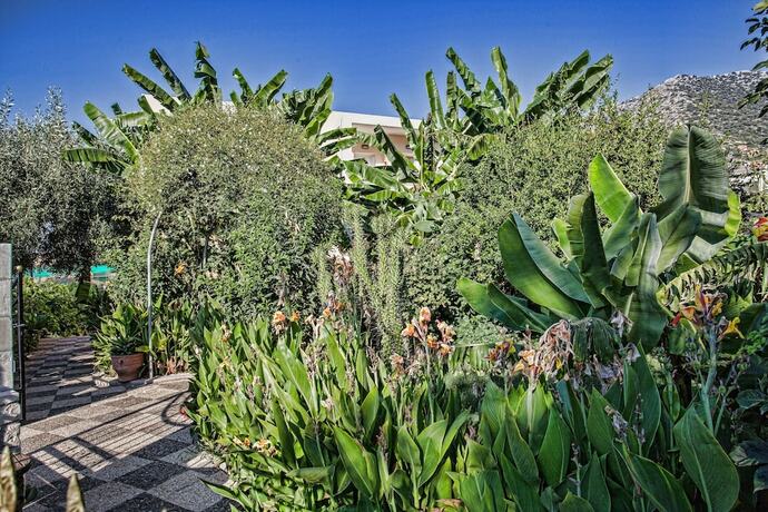 Imagen general del Hotel Bali Dorian, Mylopotamos. Foto 13