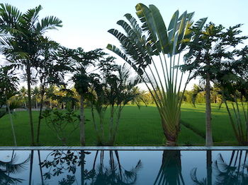 Imagen general del Hotel Bali Harmony Villas. Foto 14