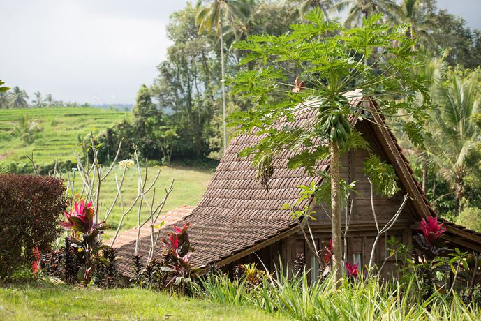 Imagen de la habitación del Hotel Bali Lush. Foto 17