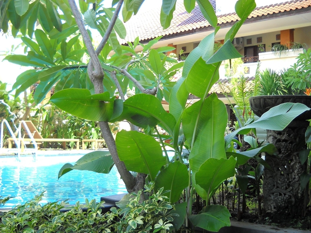 Imagen de la piscina del Hotel Bali Sorgawi. Foto 12