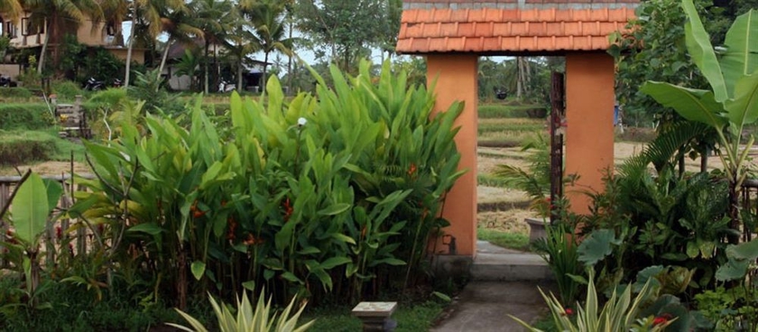 Imagen de los exteriores del Hotel Bali Suksma Villa. Foto 3