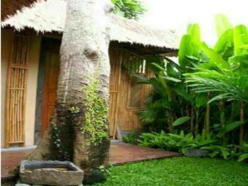Imagen general del Hotel Baliwood Resort - The Mansion. Foto 8