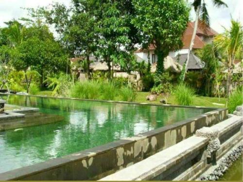 Imagen general del Hotel Baliwood Resort - The Mansion. Foto 13