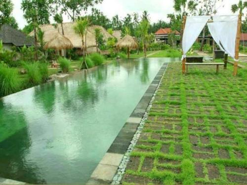 Imagen general del Hotel Baliwood Resort - The Mansion. Foto 14