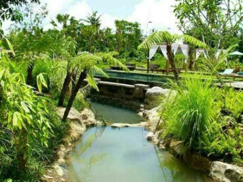 Imagen general del Hotel Baliwood Resort - The Mansion. Foto 16