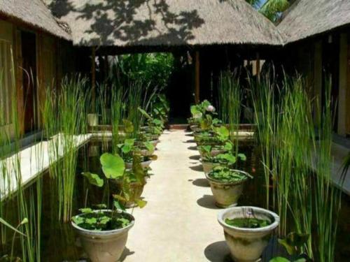 Imagen general del Hotel Baliwood Resort - The Mansion. Foto 18