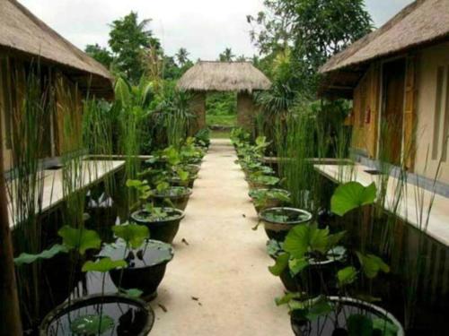Imagen general del Hotel Baliwood Resort - The Mansion. Foto 19