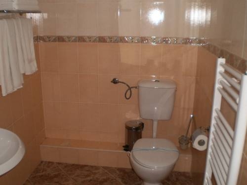 Imagen general del Hotel Balkan, Chiflik. Foto 6