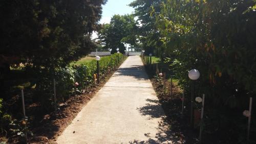 Imagen general del Hotel Balkanika. Foto 2