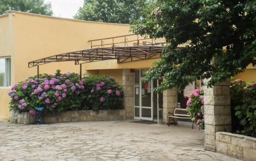 Imagen general del Hotel Balkanika. Foto 7