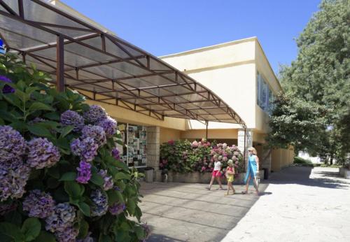 Imagen general del Hotel Balkanika. Foto 8