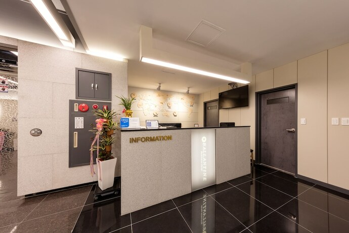 Imagen general del Hotel Ballantine Business. Foto 11