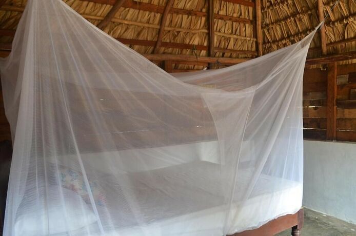 Imagen de la habitación del Hotel Ballelita. Foto 16