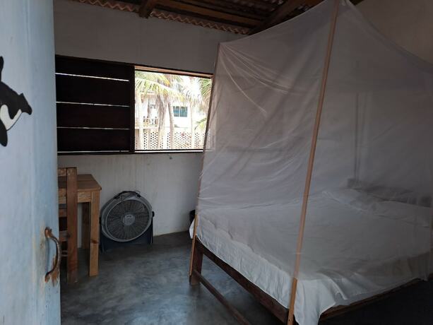 Imagen de la habitación del Hotel Ballelita. Foto 17