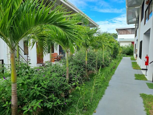 Imagen de la habitación del Hotel Ballena REY. Foto 12