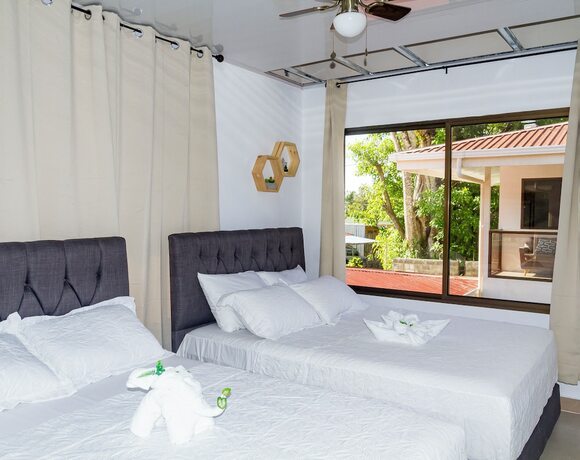 Imagen general del Hotel Ballena REY. Foto 7