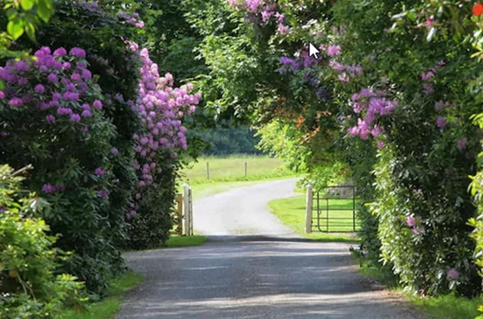 Imagen general del Hotel Ballymaloe House. Foto 1
