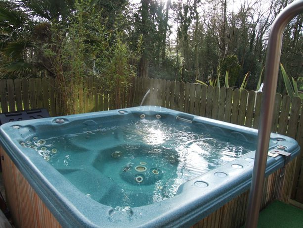 Imagen de la piscina del Hotel Ballymascanlon And Golf Resort. Foto 20