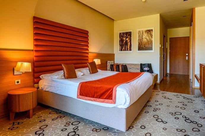 Imagen de la habitación del Hotel Balnea Superior &ndash; Terme Krka. Foto 15