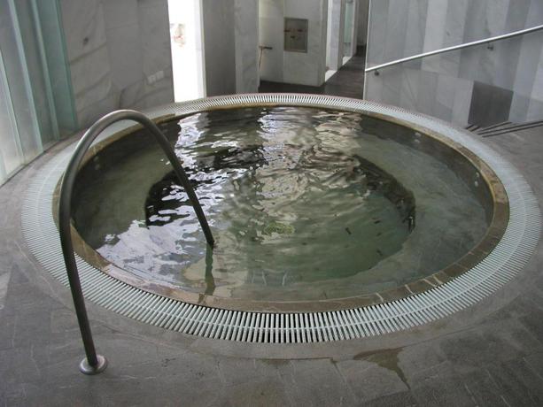 Imagen general del Hotel Balneario Alhama de Granada. Foto 17