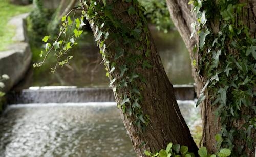 Imagen general del Hotel Balneario De Arteixo. Foto 3