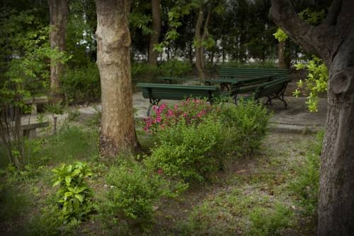 Imagen general del Hotel Balneario De Arteixo. Foto 5