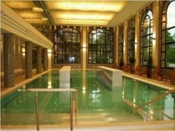 Imagen de la piscina del Hotel Balneario Paracuellos De Jiloca. Foto 4