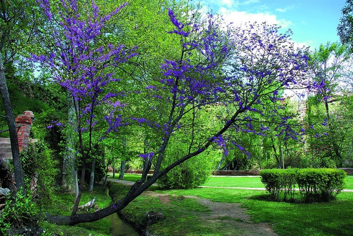 Imagen de los exteriores del Hotel Balneario Sicilia. Foto 6