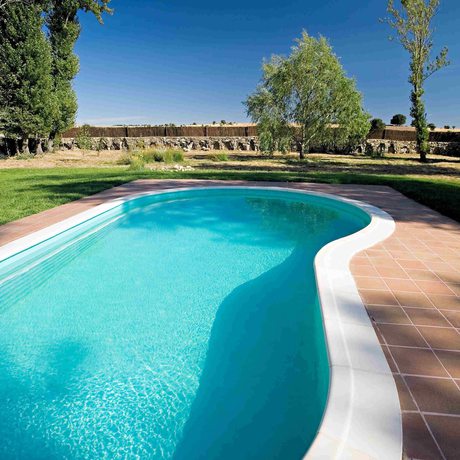 Imagen de la piscina del Hotel Balneario de Almeida La Dama Verde. Foto 6